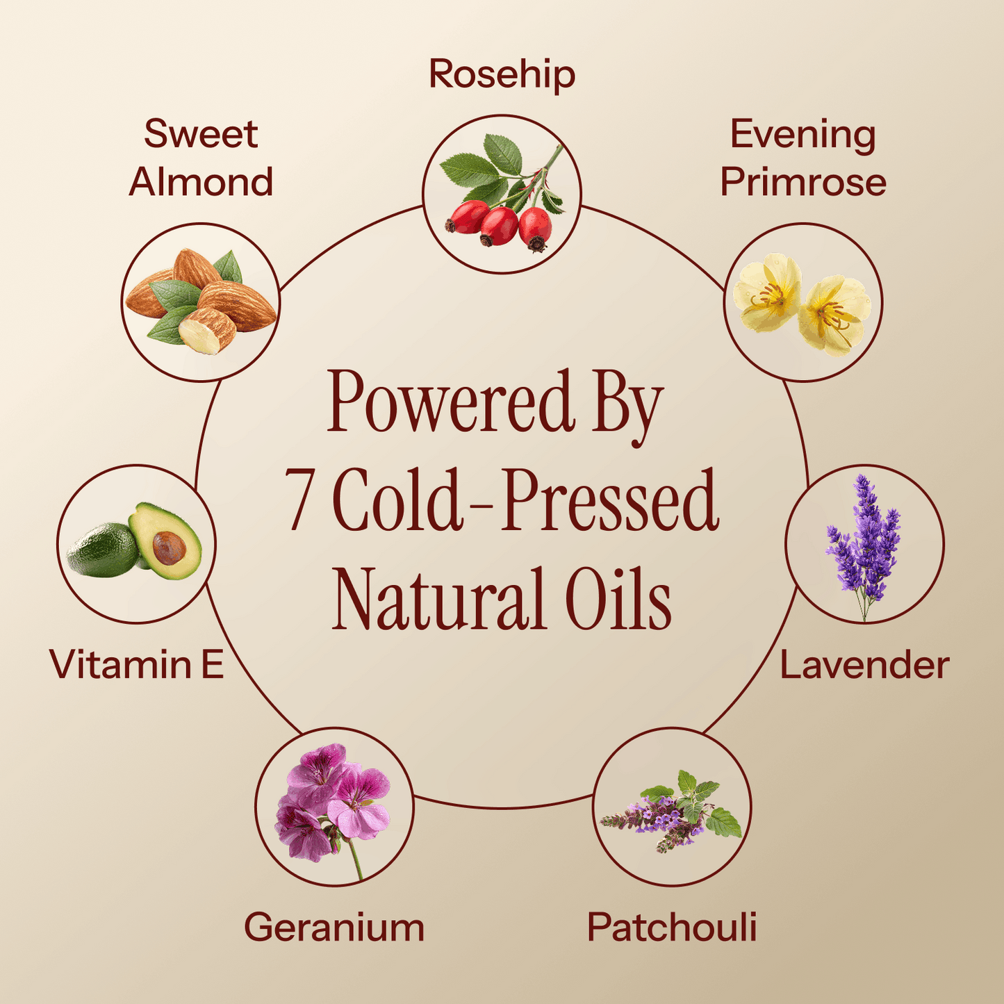 Cavo Glow Body Oil - 100ml