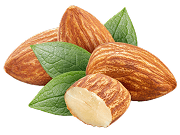 Sweet almond